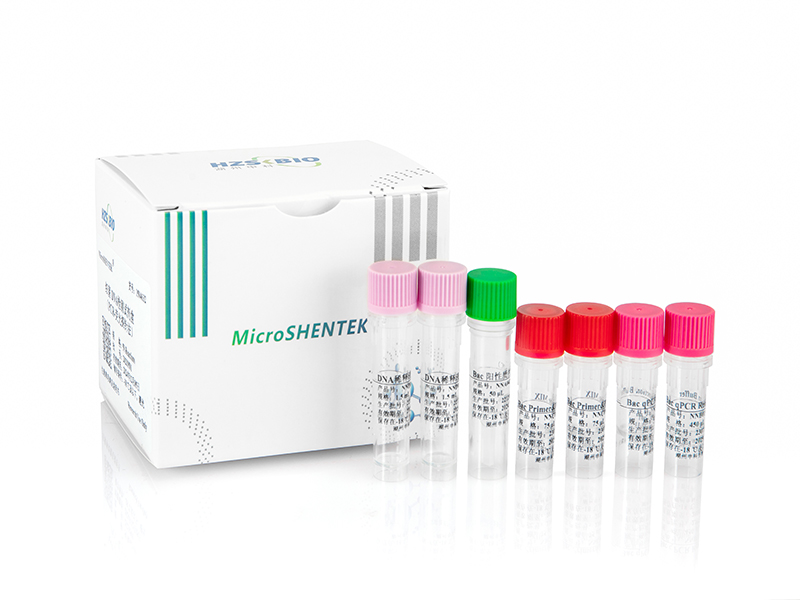 細(xì)菌DNA檢測(cè)試劑盒（PCR-熒光探針法）